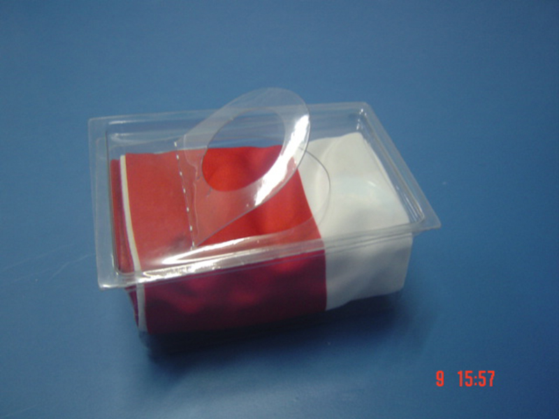 DSC043551